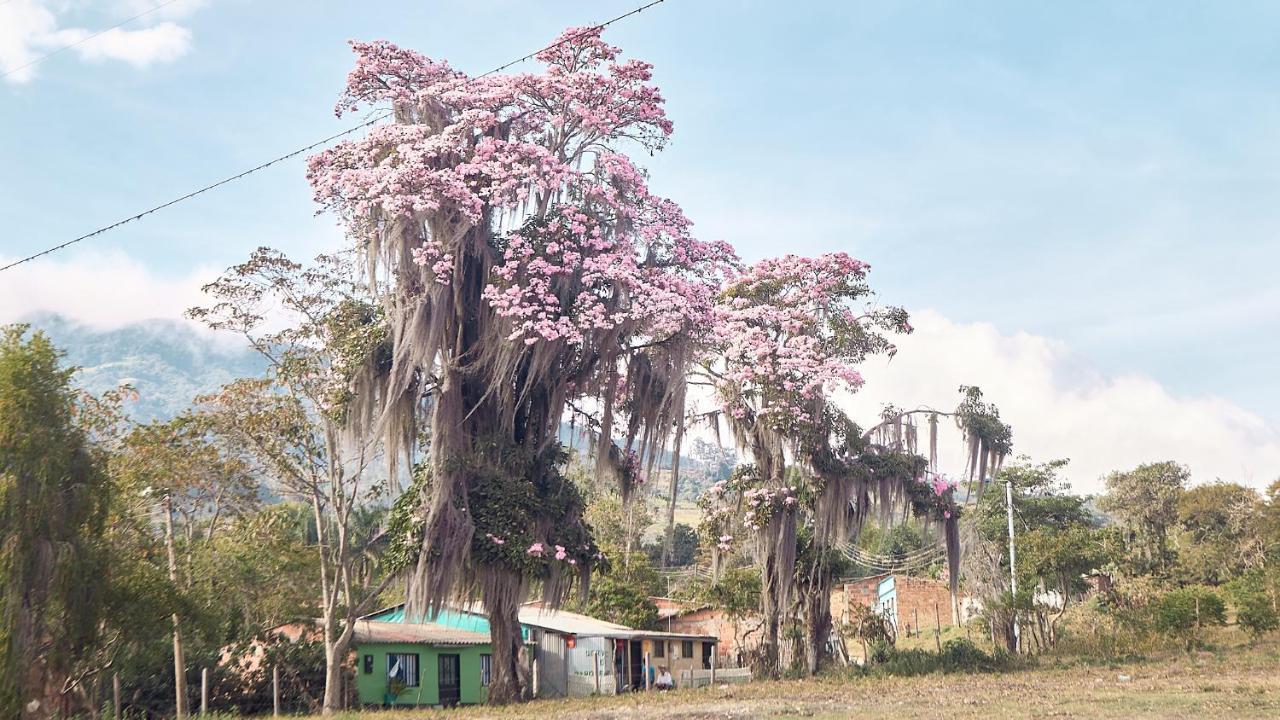 Macua Vila Chipata Exterior foto